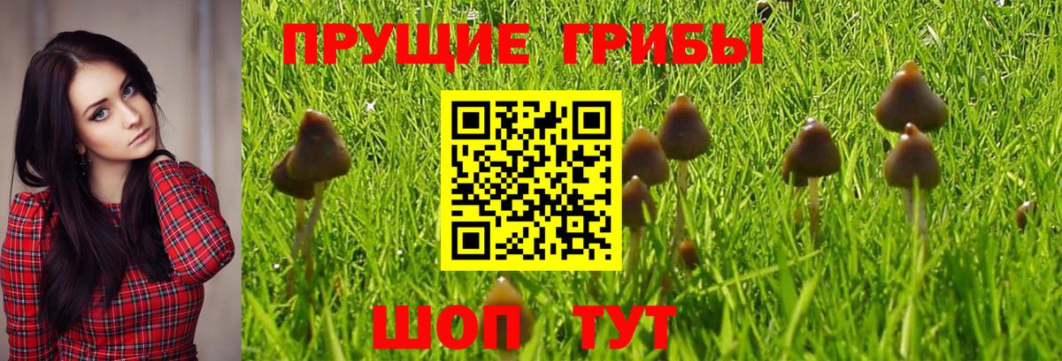 Кокаин  Лсд 25  Жуковский  Бошки Шишки  MDMA  Мефедрон  Вход с VPN  ГАШИШ  МЕФ  