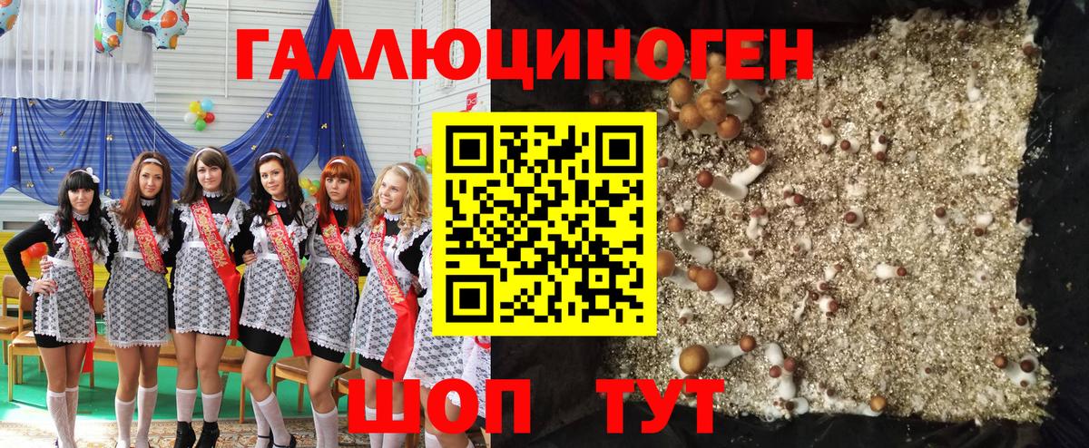 Жуковский  Псилоцибиновые грибы прущие грибы  Вход с VPN  Псилоцибиновые грибы прущие грибы 